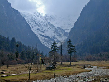 YubengTreeDSCN4010-W350.jpg